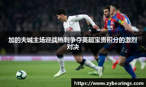 加的夫城主场迎战热刺争夺英超宝贵积分的激烈对决