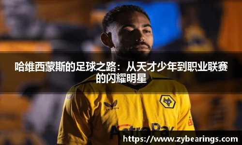 快盈IV官网