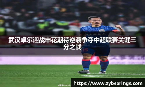 九游体育官网入口